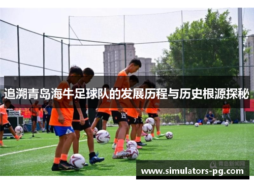 追溯青岛海牛足球队的发展历程与历史根源探秘 追溯青岛海牛足球队的发展历程与历史根源探秘