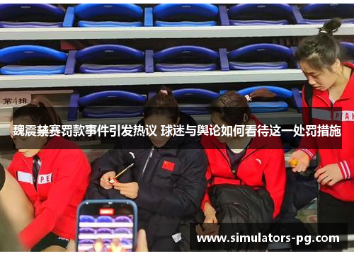 魏震禁赛罚款事件引发热议 球迷与舆论如何看待这一处罚措施