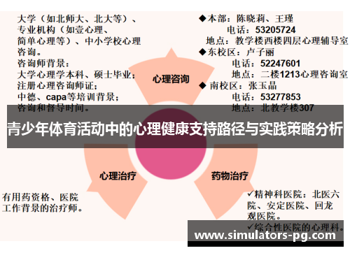 青少年体育活动中的心理健康支持路径与实践策略分析