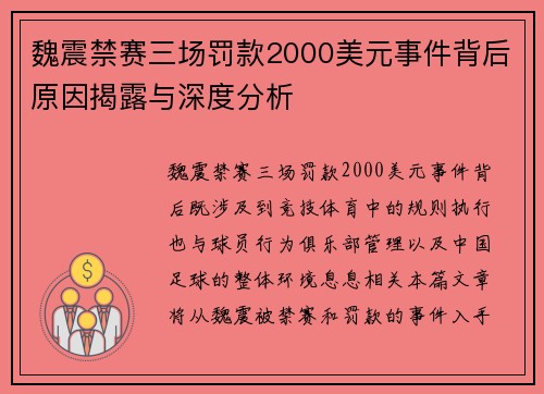 魏震禁赛三场罚款2000美元事件背后原因揭露与深度分析